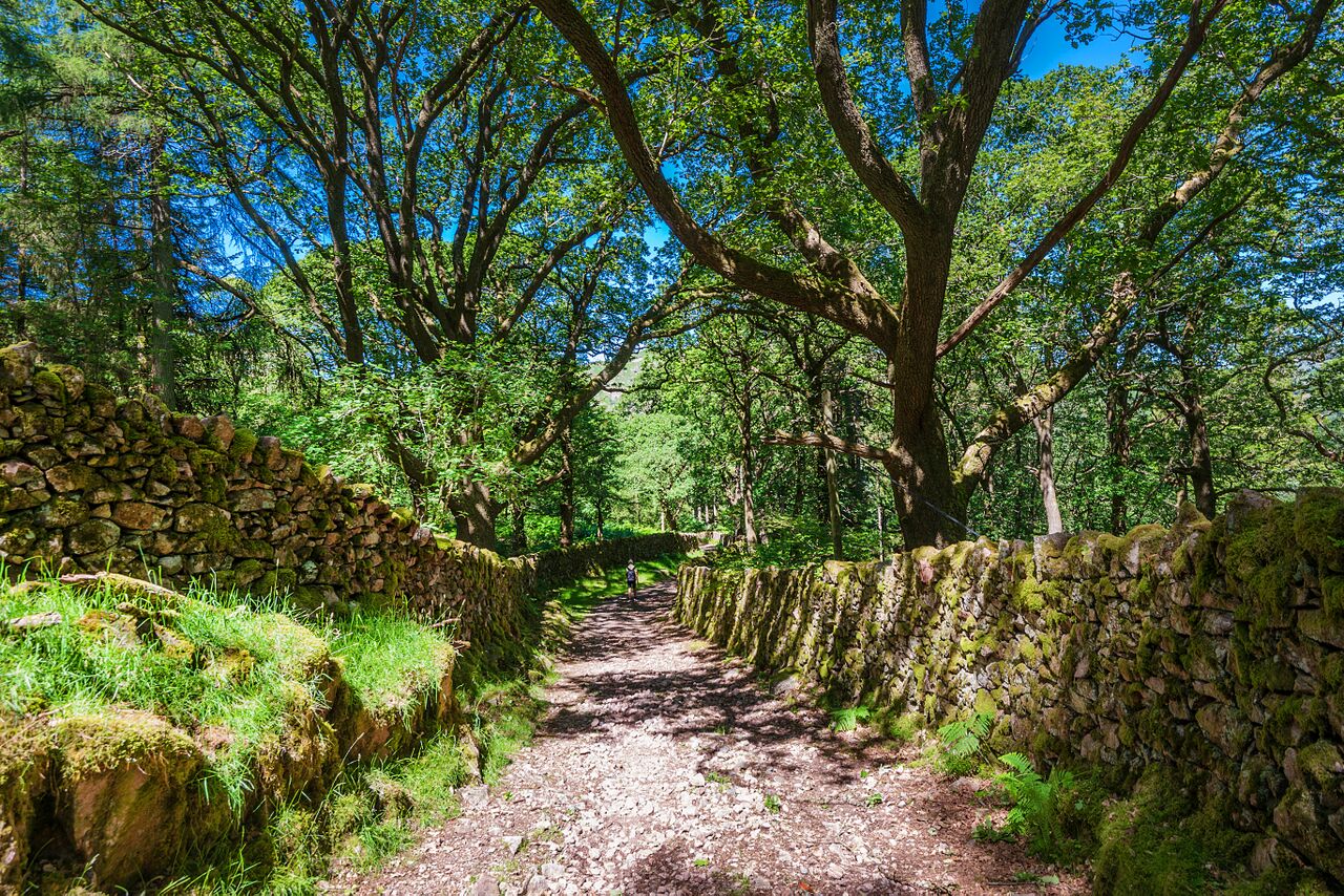 Enjoy many a fabulous walk on our doorstep Enjoy many a fabulous walk on our doorstep