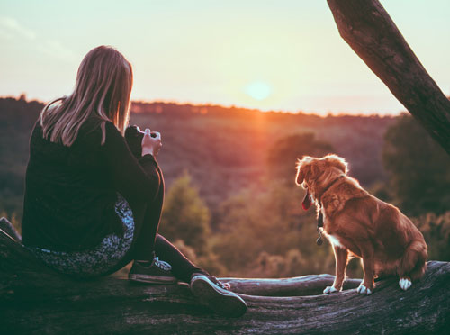 Dogs welcome in the Lake District
